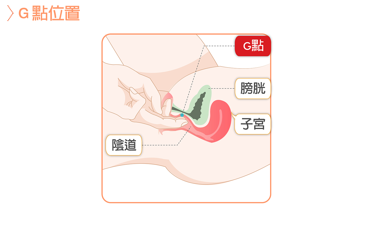 G點位置,G點在哪