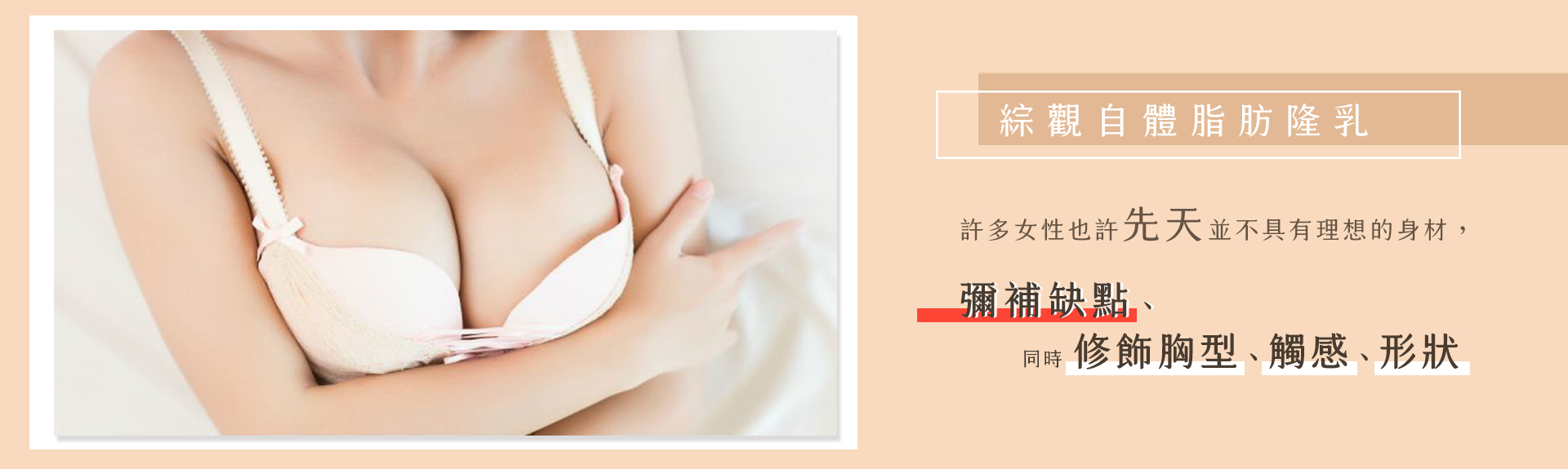 綜觀自體脂肪隆乳